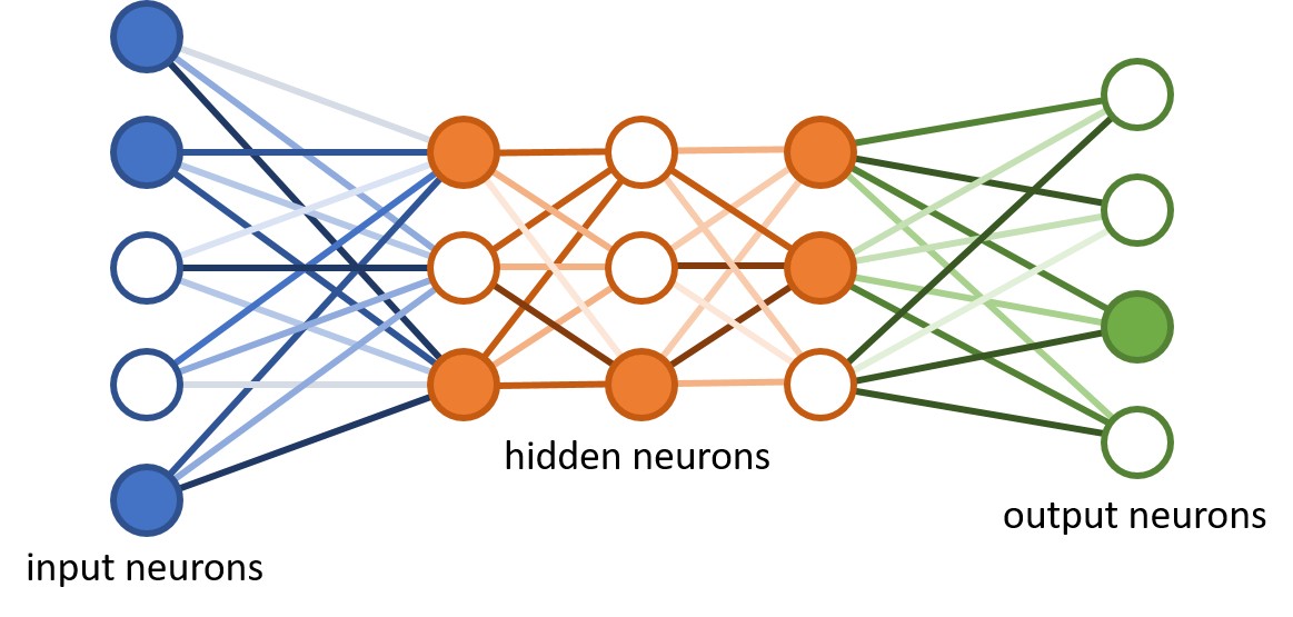 neurons cms